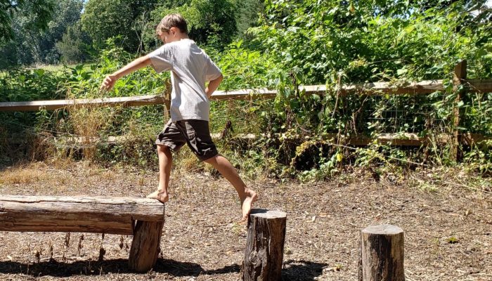 A boy plays in the woods, walking from one tree stump onto balancing atop a fallen tree.